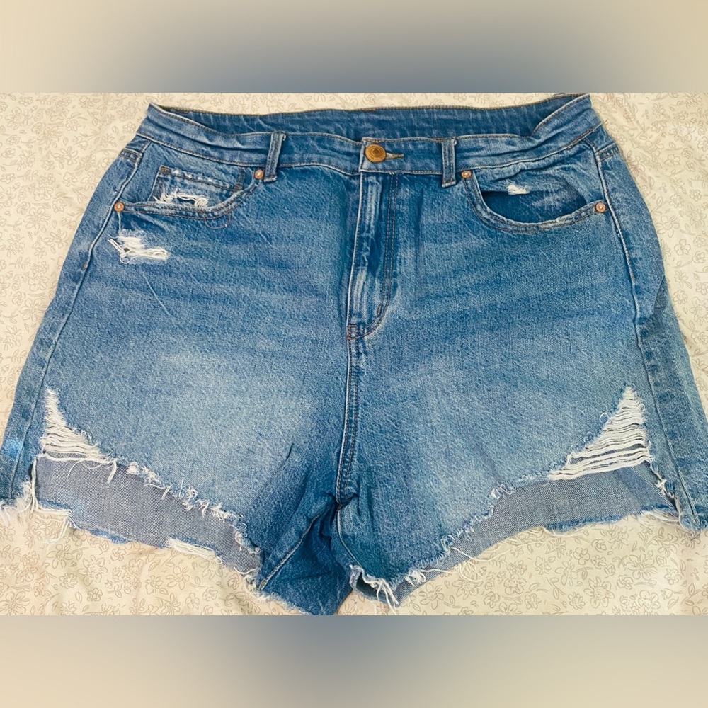 Amazon Women's Distressed Blue Jean Shorts